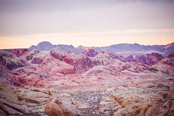 Valley of Fire Wedding Packages