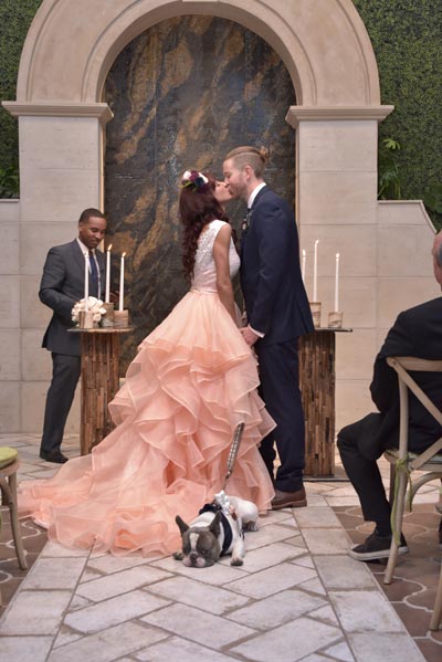 Dog in a Wedding